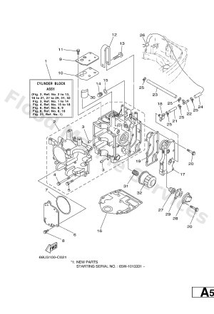 Diagram for CYLINDER & CRANKCASE 1
