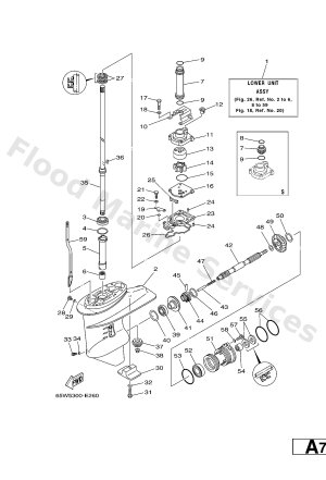 Diagram for LOWER CASING & DRIVE 1