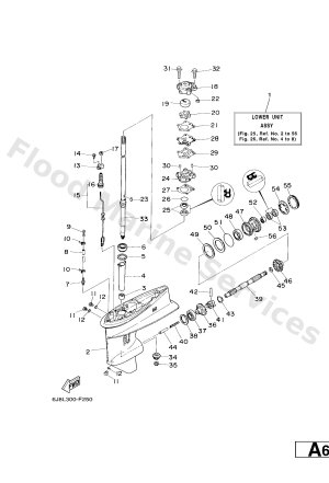 Diagram for LOWER CASING & DRIVE 1