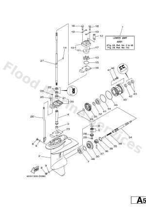 Diagram for LOWER CASING & DRIVE 1