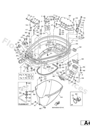 Diagram for BOTTOM COWLING