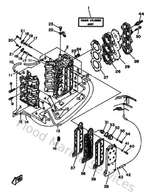Diagram for Cylinder & Crankcase