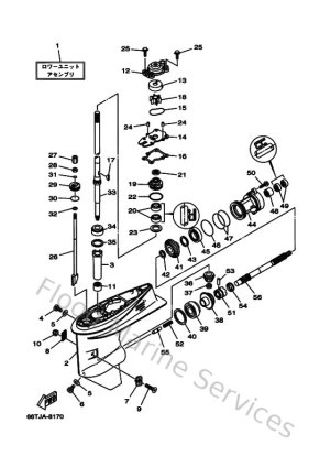 Diagram for Lower Casing & Drive