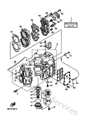Diagram for Cylinder & Crankcase