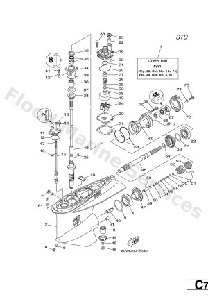 Diagram for LOWER CASING & DRIVE 1